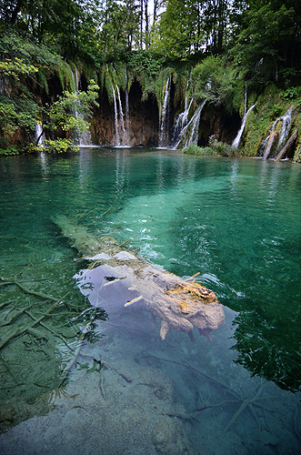Parco Nazionale dei Laghi di Plitvice: Laghetto