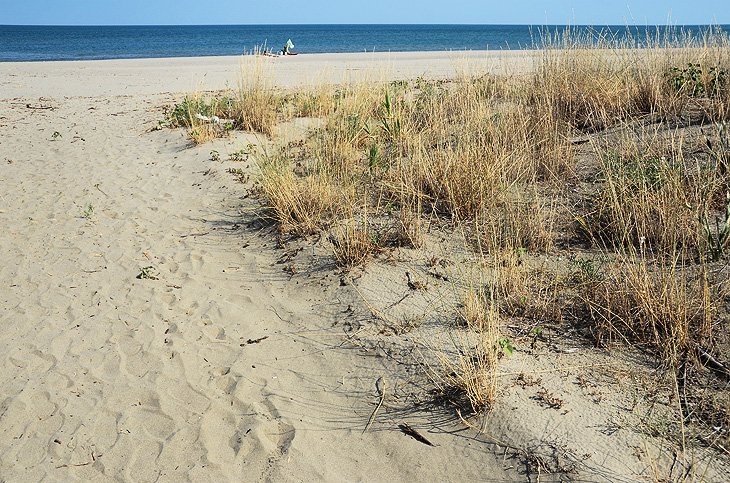 Lido di Scanzano: Spiaggia quasi deserta