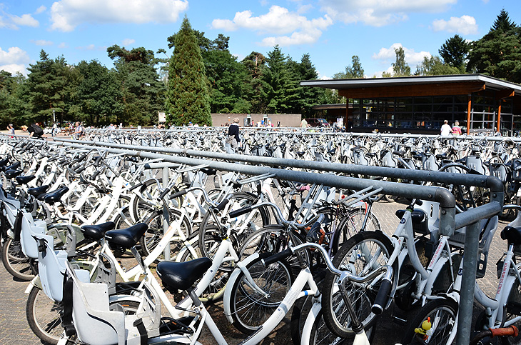 Parco Nazionale De Hoge Veluwe: Bike sharing gratuito
