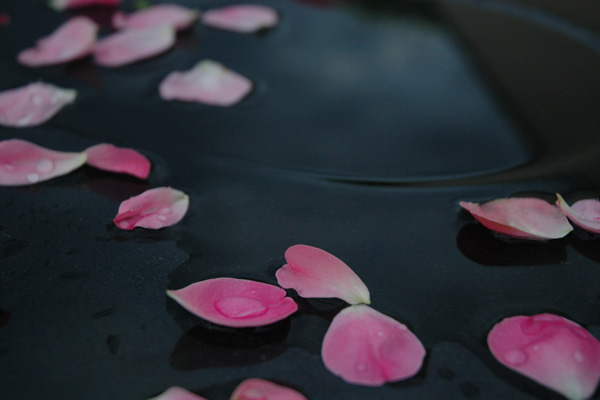 Merano: Petali di rosa