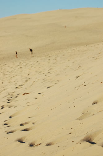 Dune du Pilat: La duna (ovest)