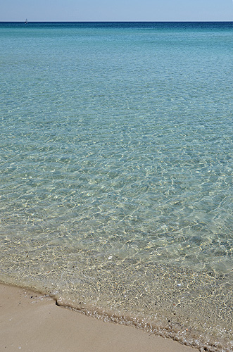 Punta Prosciutto: Acqua cristallina