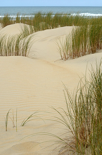 Les Mathes: Le dune di sabbia