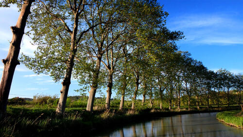 Canal du Midi