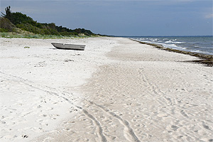 Gedesby: spiaggia