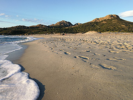 Plage de l'Ostriconi