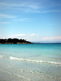 Porquerolles: plage d'Argent