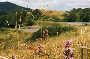 Passo della Cisa