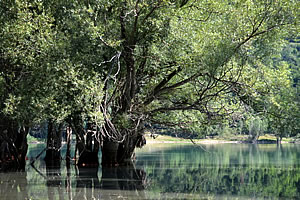 Lago di Barrea