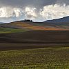 Colline toscane