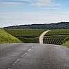 Strada tra i vigneti