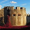 Tower of London Remembers