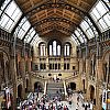 Natural History Museum