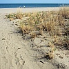 Spiaggia quasi deserta