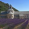 Abbazia di Sénanque