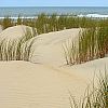 Le dune di sabbia