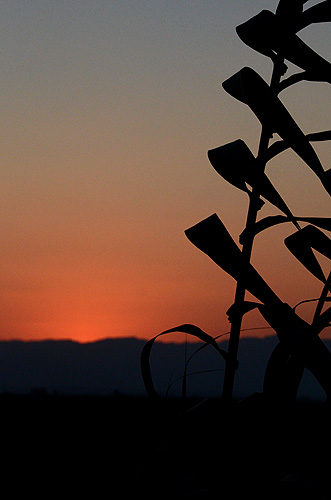 Delta del Ebro: Tramonto