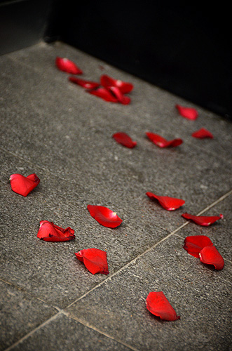 Girona: Rose rosse