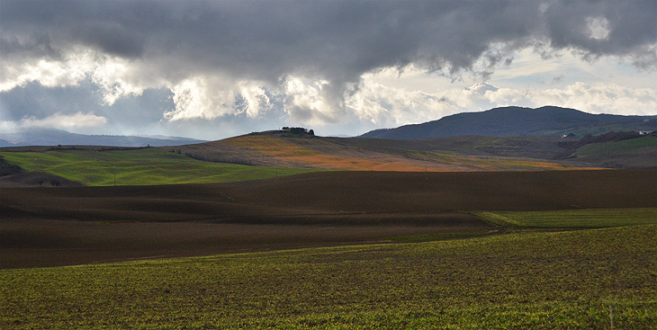 Val d'Orcia: Colline toscane