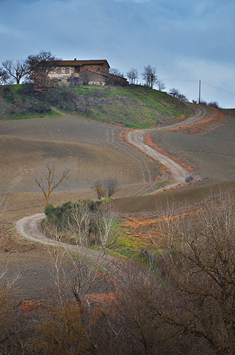 Terre di Siena: Sulla collina