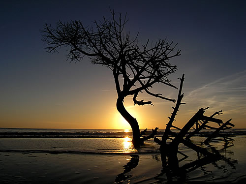 Parco dell'Uccellina: Tramonto in spiaggia