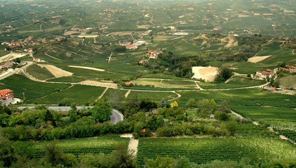 La Morra: Panorama