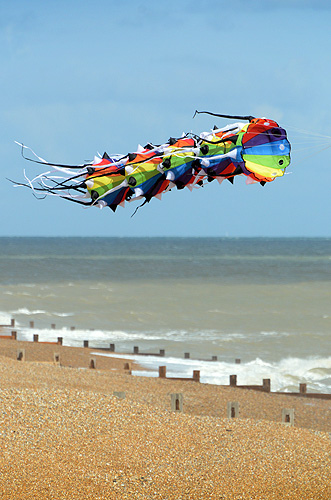 St Leonards-on-Sea: Kite