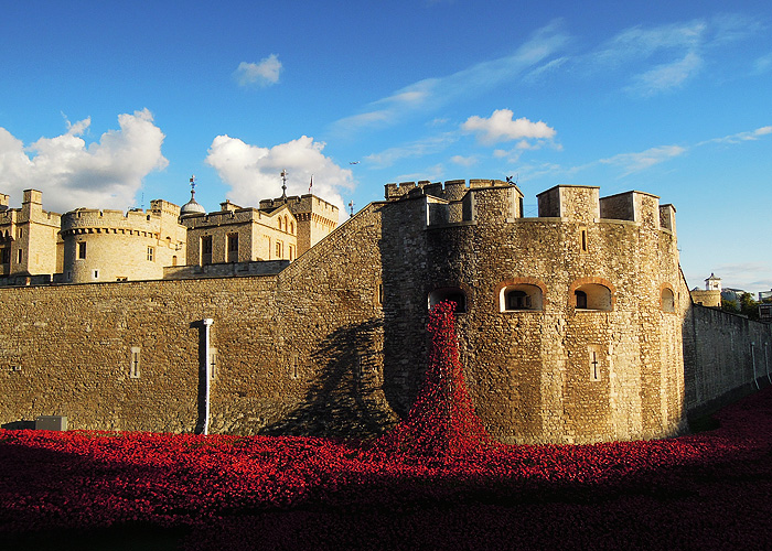 Londra: Tower of London Remembers