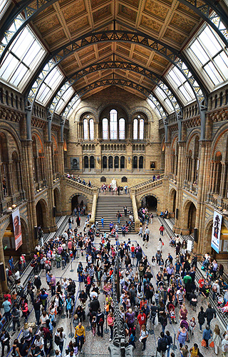 Londra: Natural History Museum