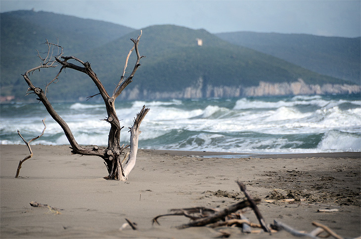 Marina di Alberese: Spiaggia