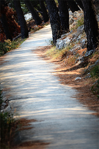 Lussinpiccolo: Passeggiata lungomare