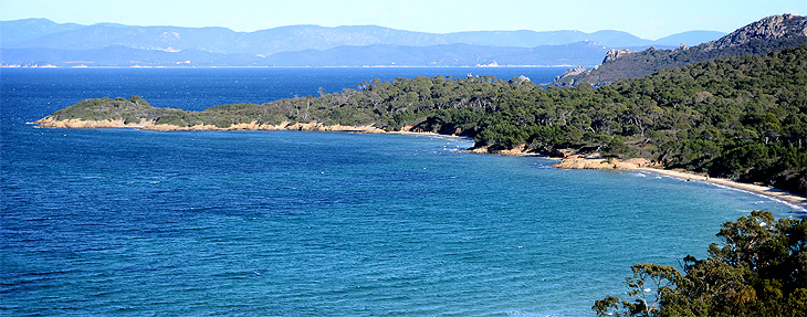 Porquerolles: Plage de la Courtade