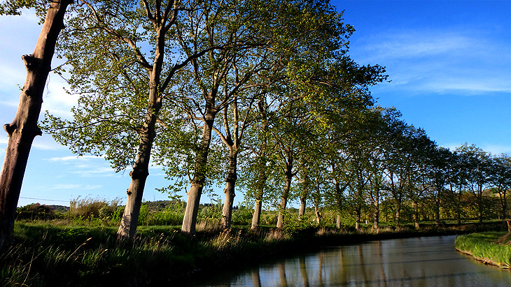 Capestang: Navigando