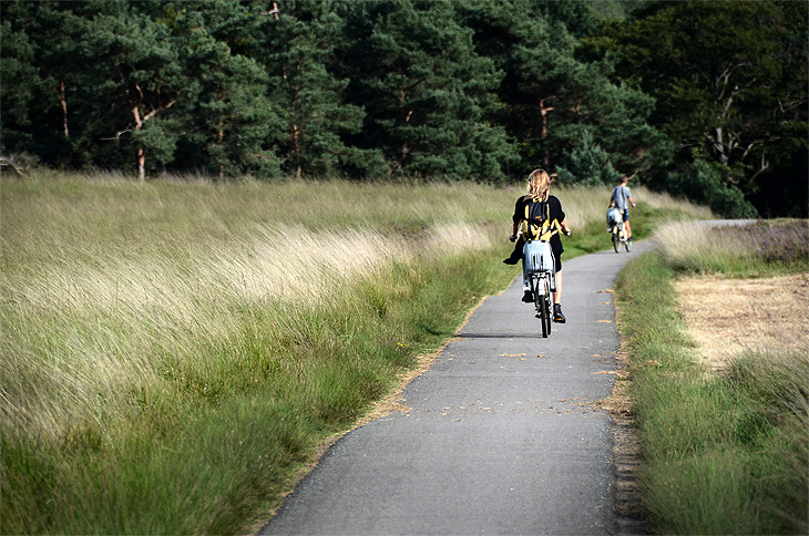 Parco Nazionale De Hoge Veluwe: Pedalando