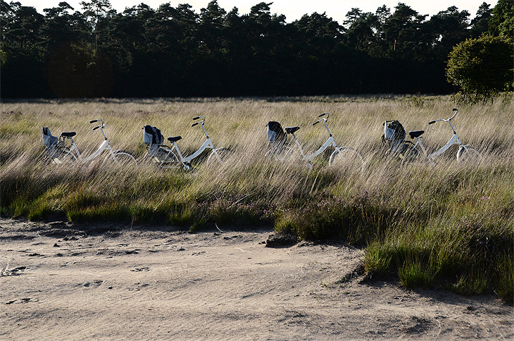 Parco Nazionale De Hoge Veluwe: Biciclette