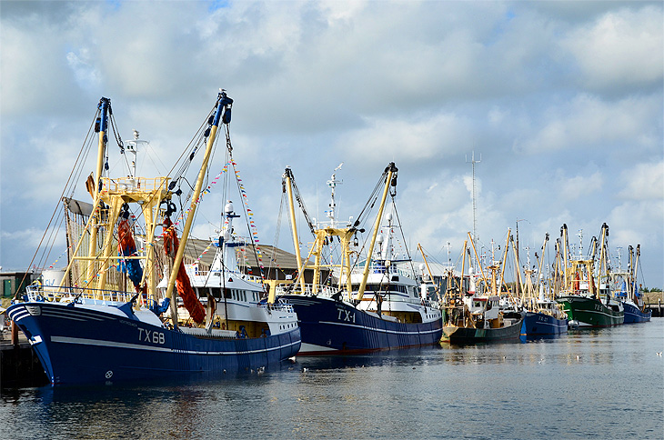 Porto di Oudeschild: Pescherecci