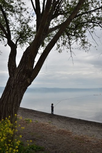 Gradoli: Lago di Bolsena