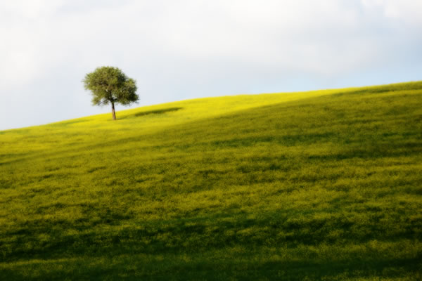 Val d'Orcia: Colline