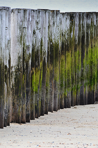 Isola di Schouwen-Duiveland: Pali