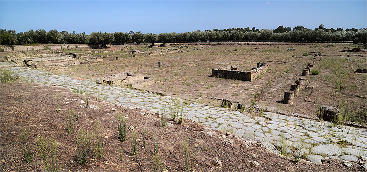 Parco Archeologico di Scolacium: Il foro