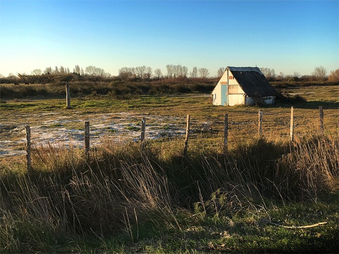 Saintes-Maries-de-la-Mer: Buvette de champagne