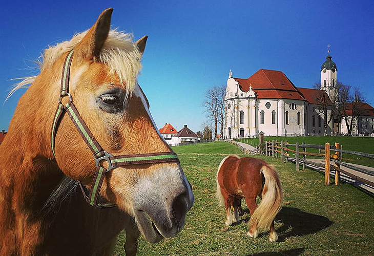 Wieskirche: Cavalli