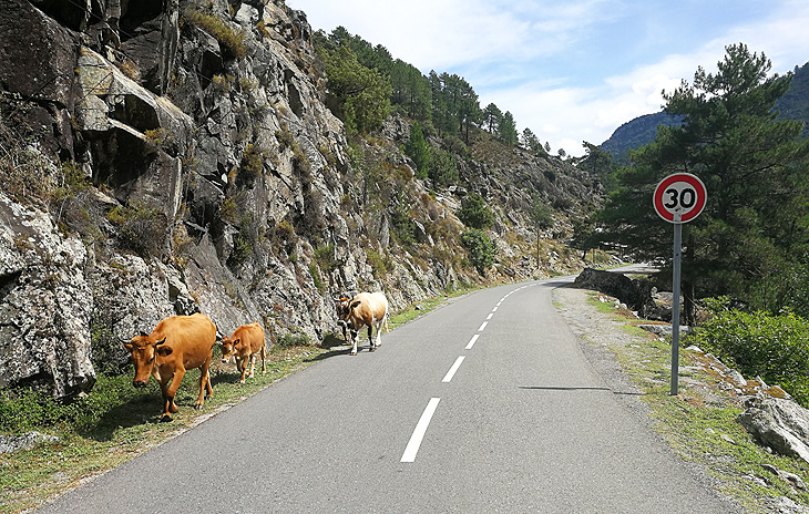 Valle della Restonica: Occhio ai limiti