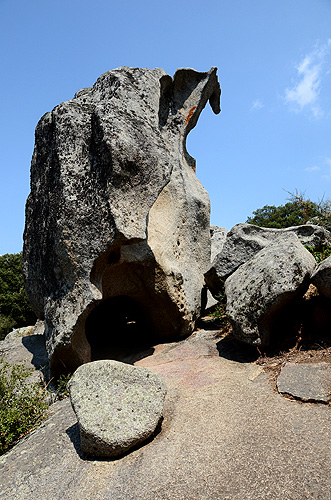 Sito archeologico di Filitosa: Dinosauro(?)