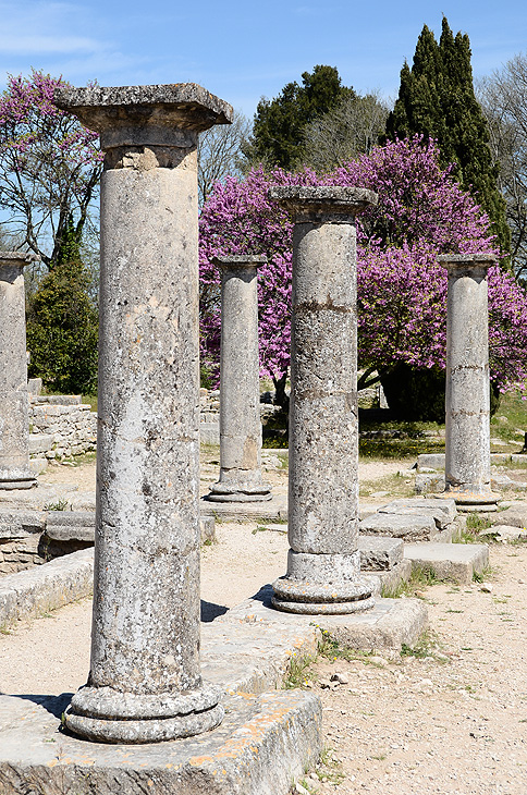 Sito archeologico di Glanum: Colonne