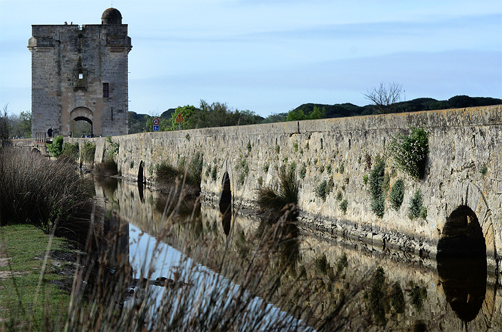 Aigues-Mortes: Tour Carbonnière