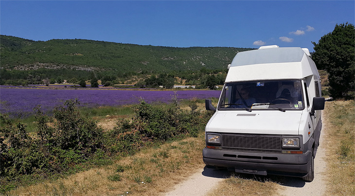 Sault: Camper e lavanda