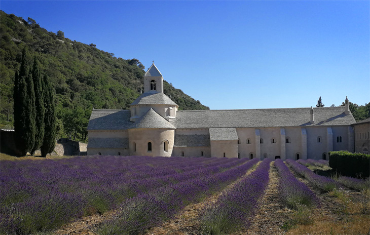 Gordes: Abbazia di Sénanque