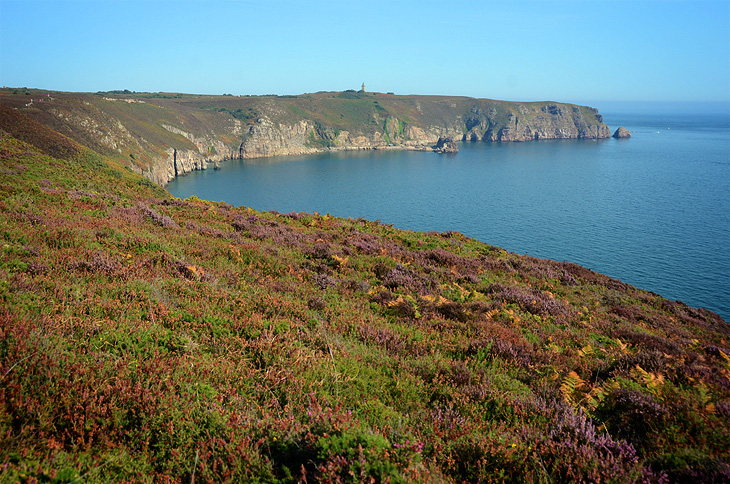 Cap Fréhel: Brughiera