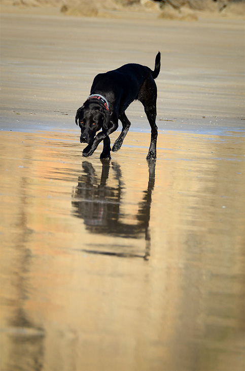 Plage de Kerloc'h: Undici